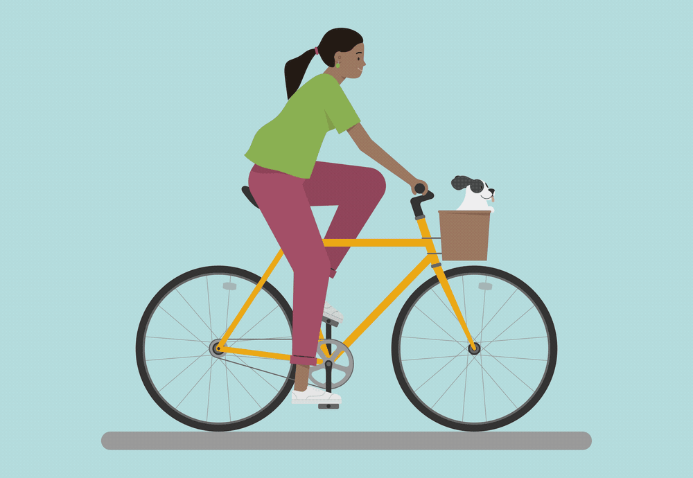 Biking Project Example - image 1 - student project