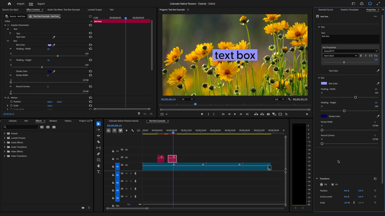 Example Project: Auto-Resizing Text Box - image 3 - student project