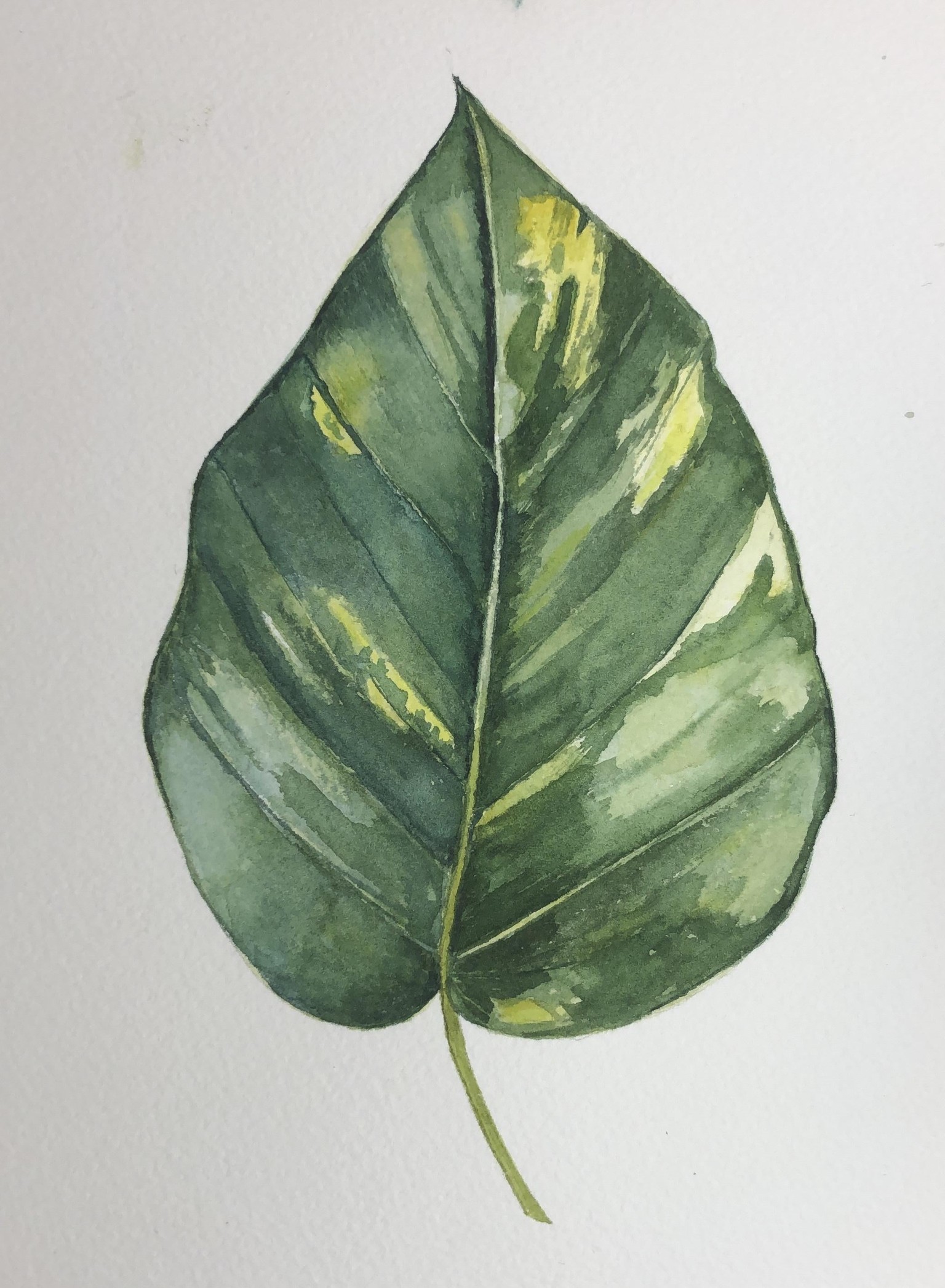 Mi primera hoja y alguna más - image 2 - student project