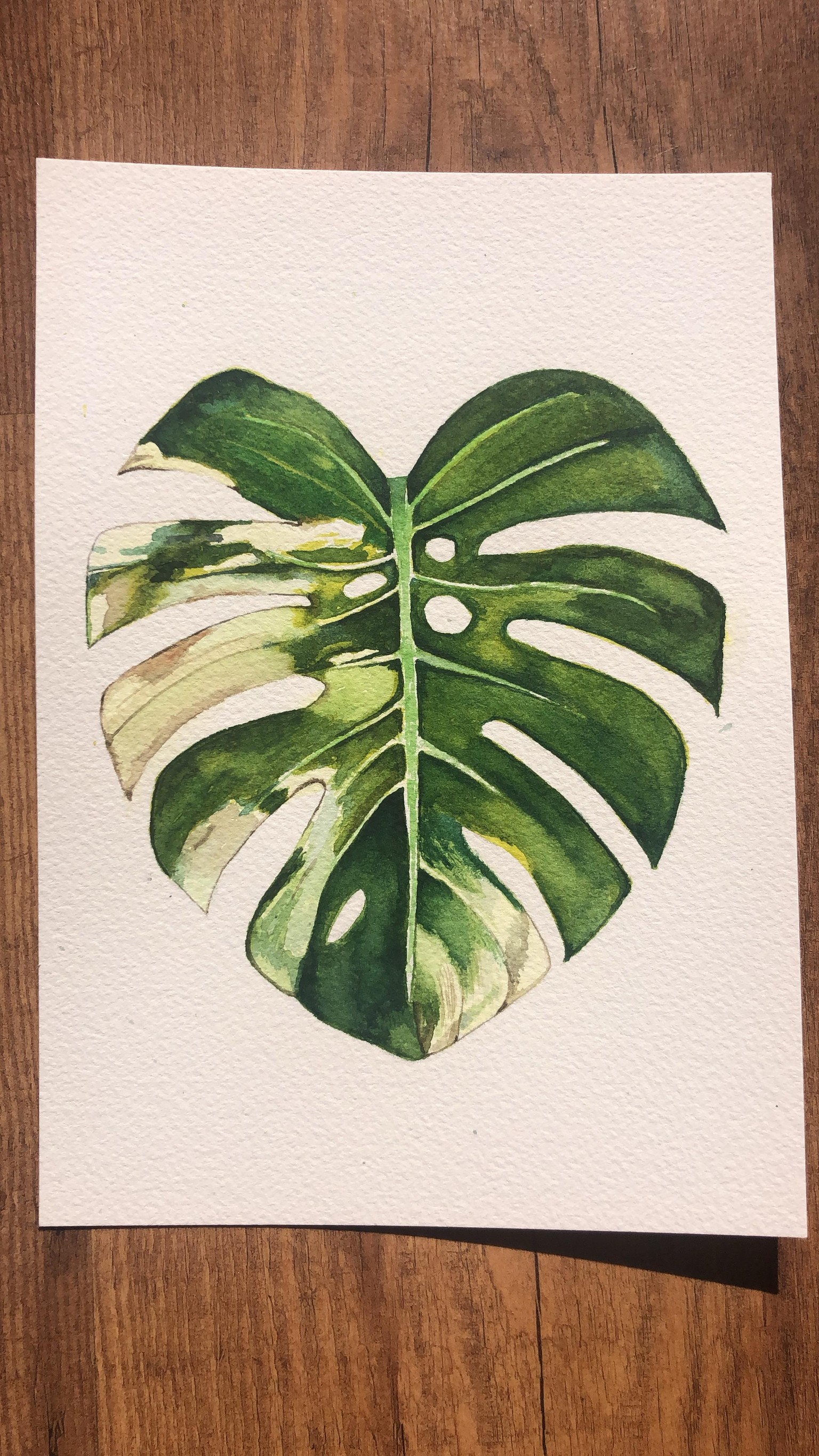 Mi primera hoja y alguna más - image 1 - student project