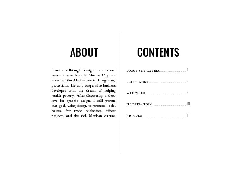 Grad School Application Portfolio - image 5 - student project