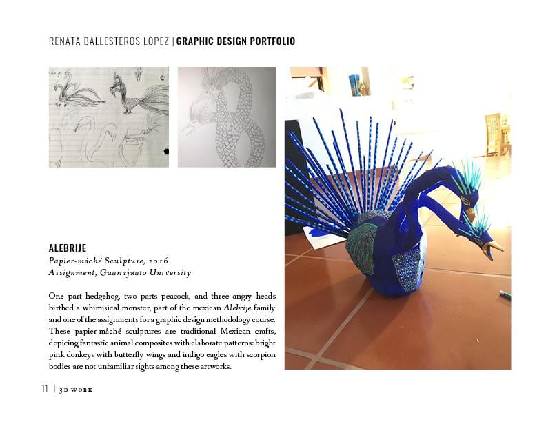 Grad School Application Portfolio - image 16 - student project