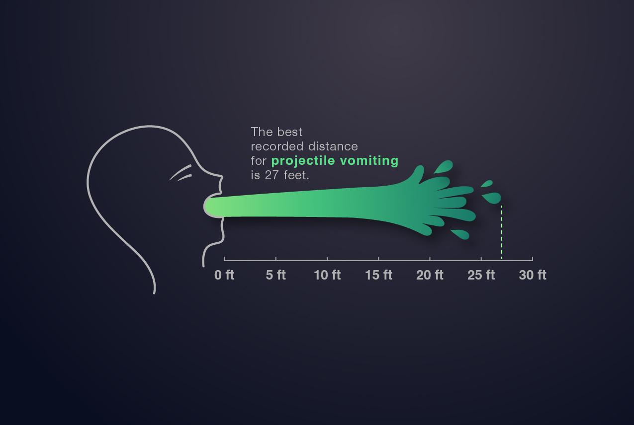 Random Fact Infographic - image 1 - student project