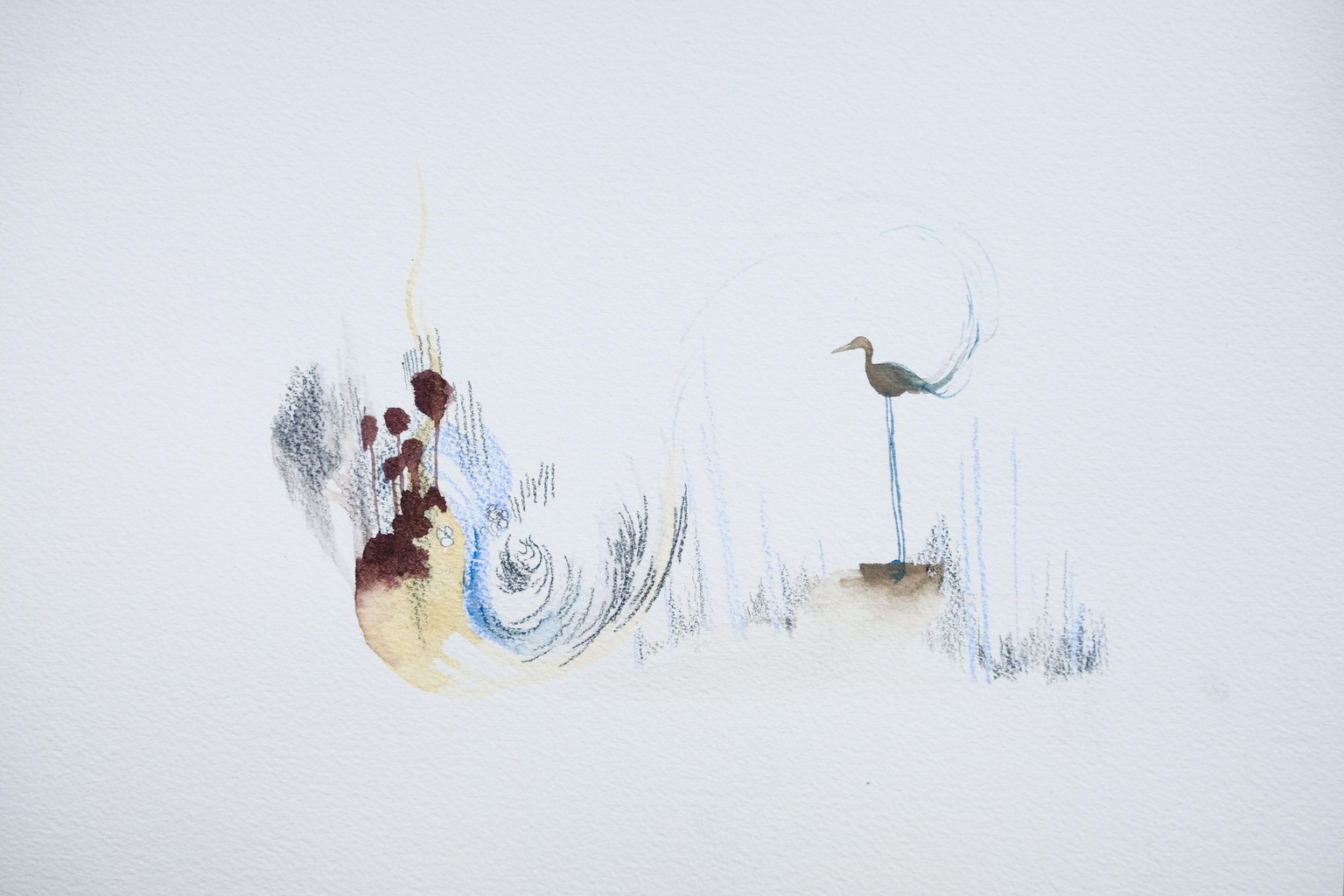 [SAMPLE PROJECT] The freedom of birds - image 2 - student project
