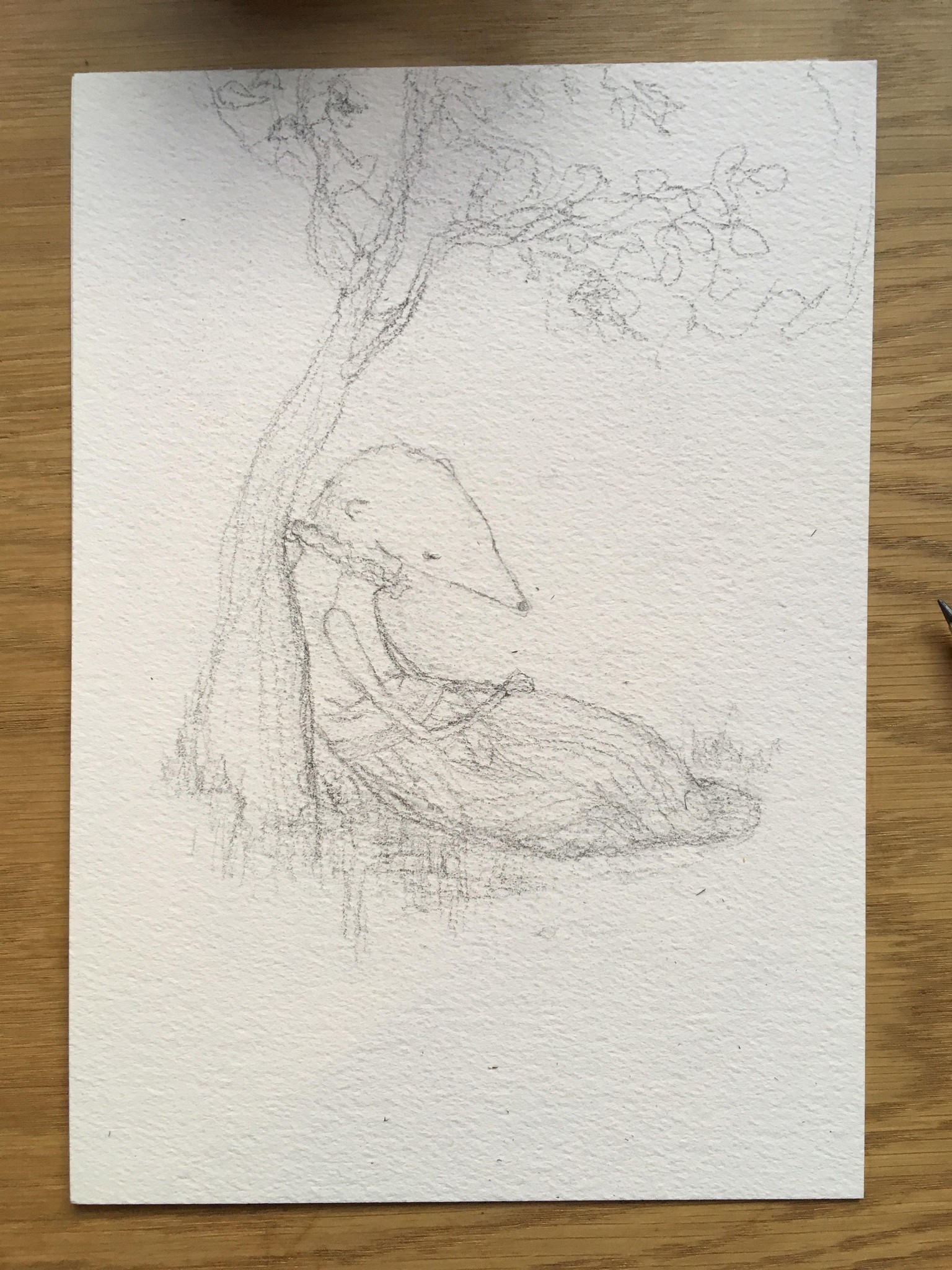 Wistful weasel - image 1 - student project