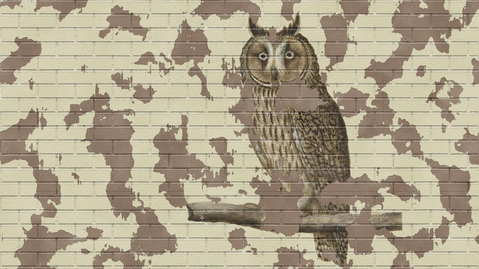 A Wise Old Owl - image 1 - student project
