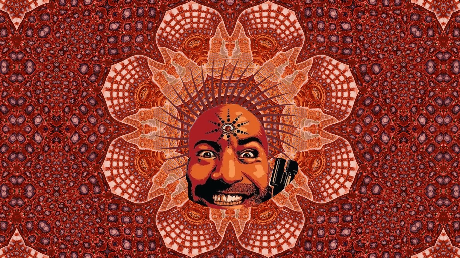Have you ever tried DMT? - image 1 - student project