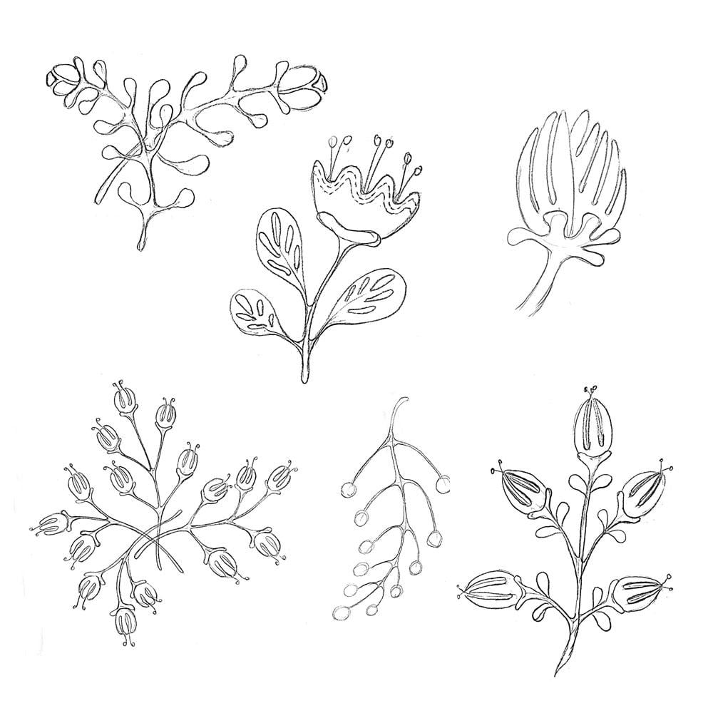 Floral Pattern Design Set - image 1 - student project