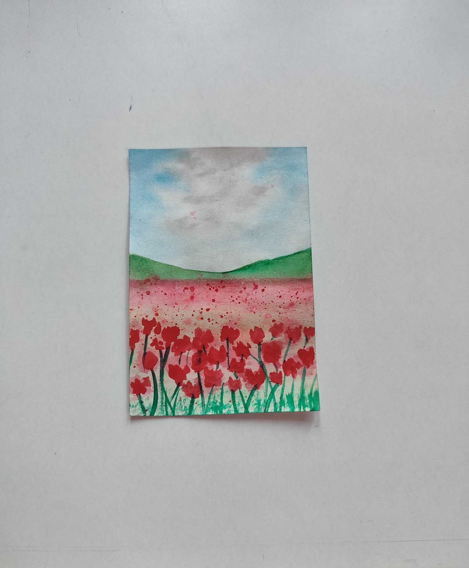 Flower field - image 1 - student project