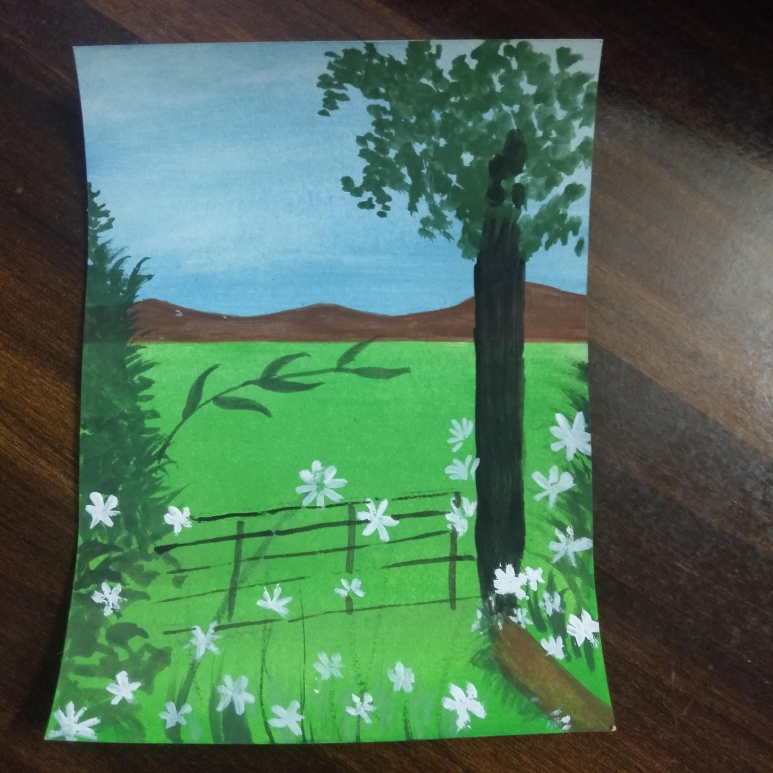 Daisy field - image 1 - student project