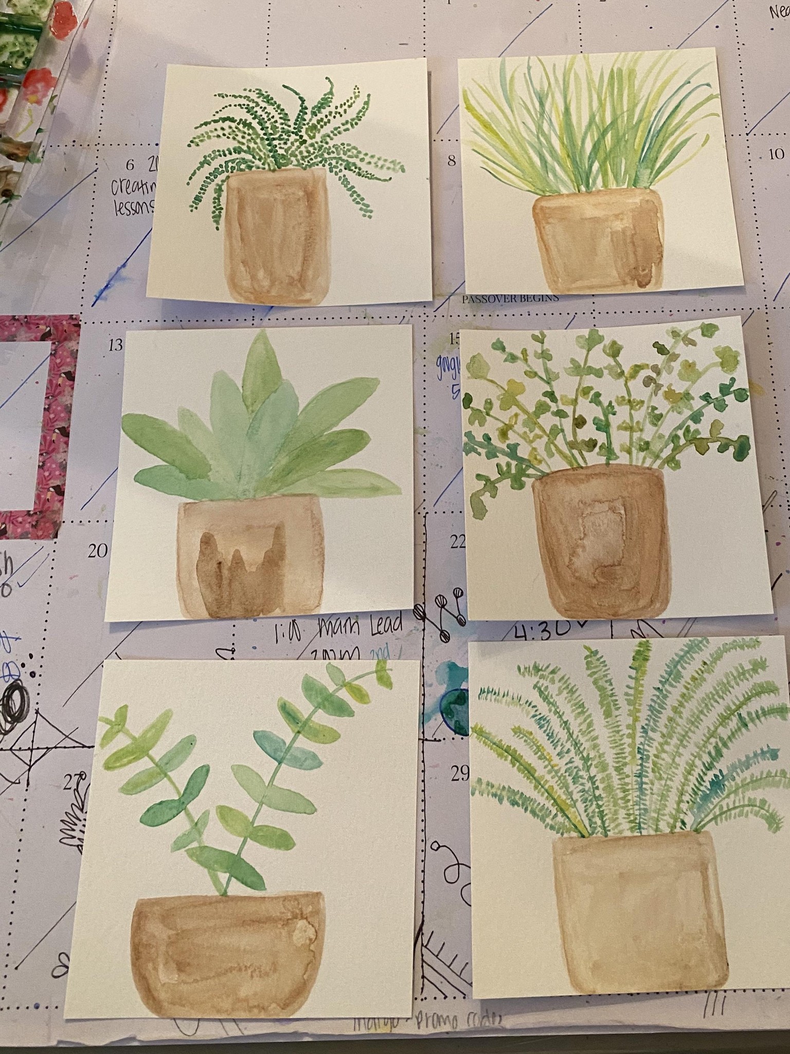 Watercolor house plants - image 1 - student project