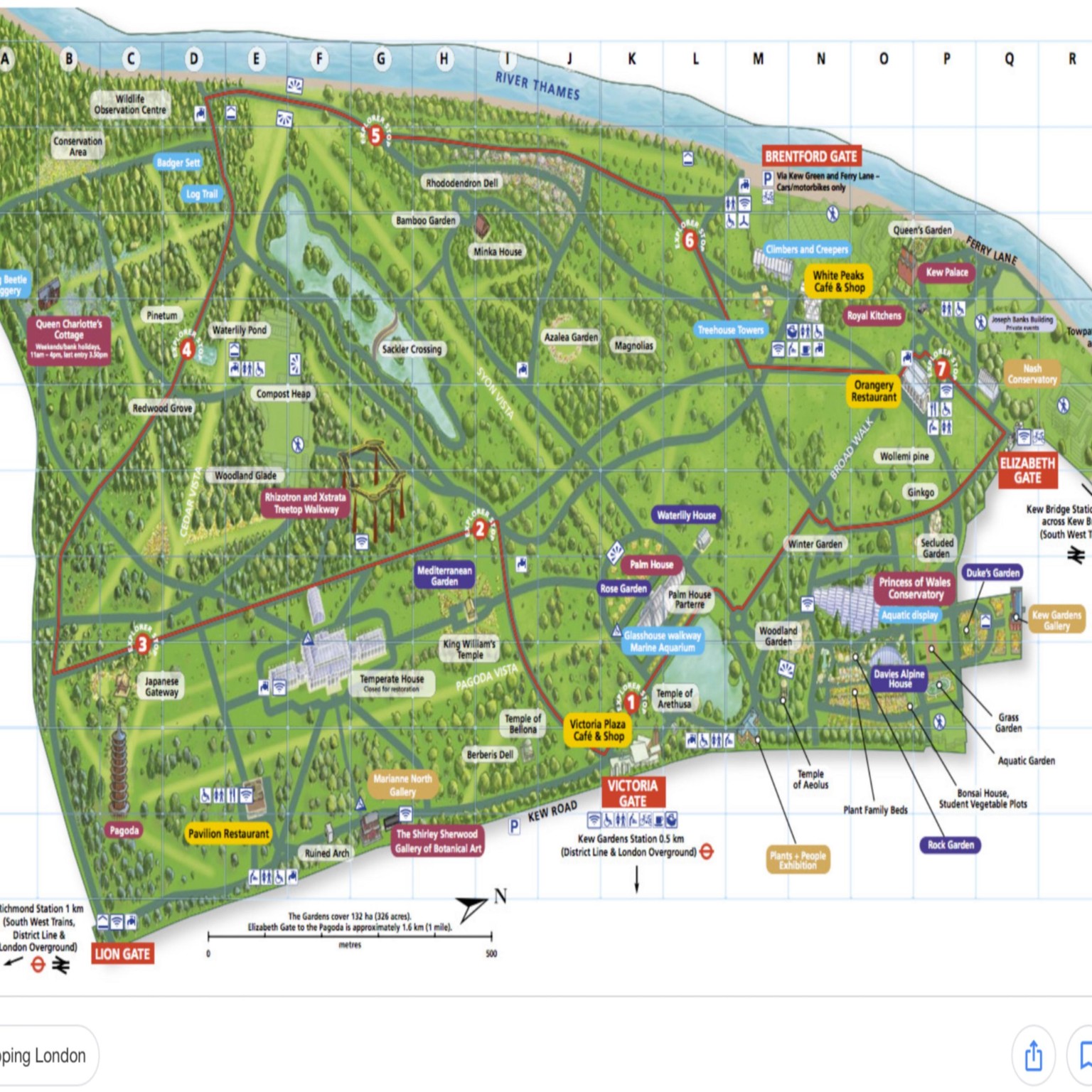 Kew gardens illustrated map and London bridges - image 1 - student project