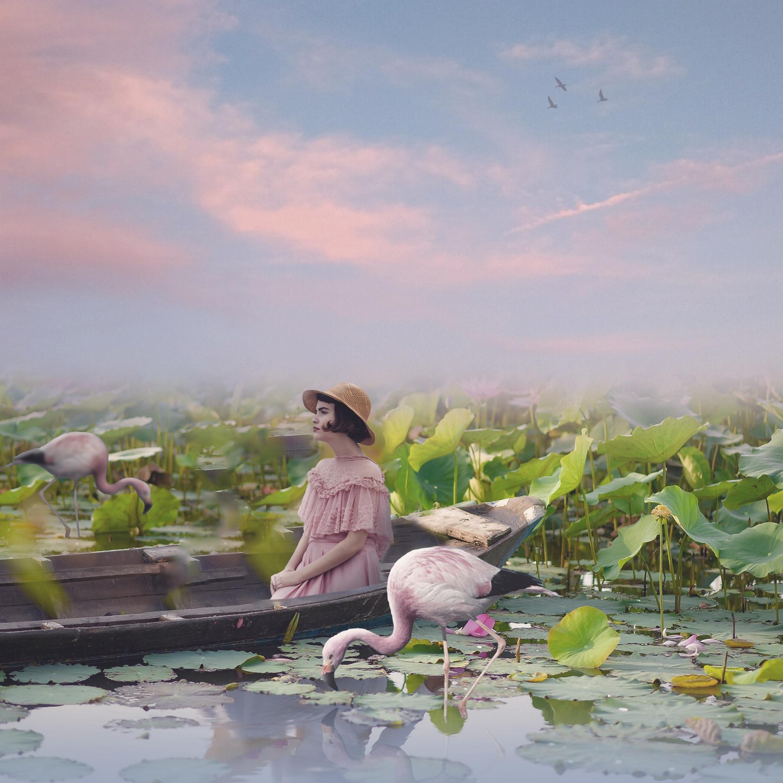 In the weeds - image 1 - student project