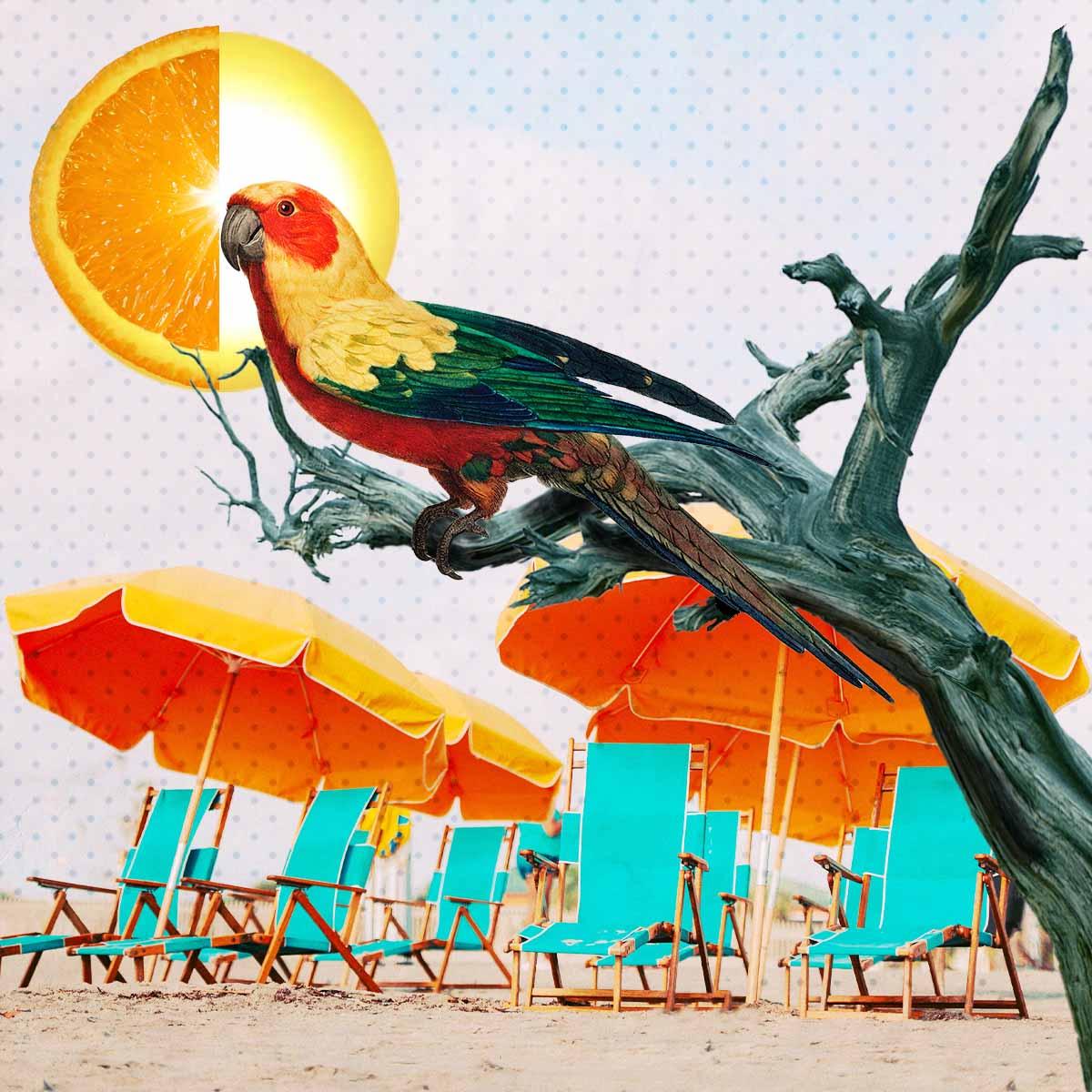 Day at the beach - image 1 - student project