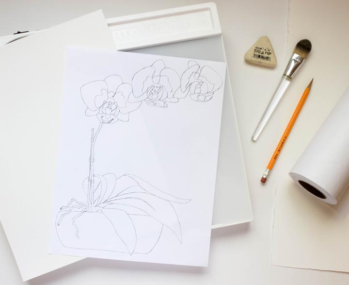 Orchids for Spring - image 2 - student project