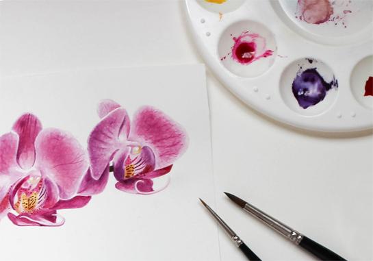 Orchids for Spring - image 4 - student project