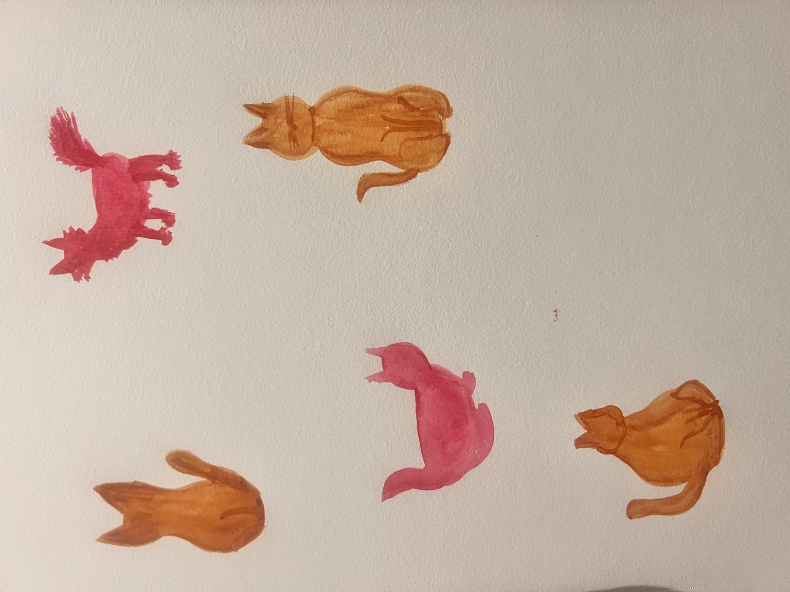 Cats - image 1 - student project