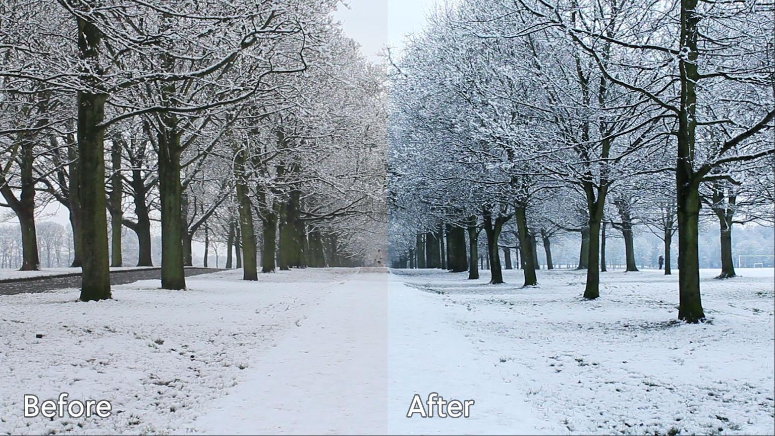 Snowy Colour Correction  - image 1 - student project