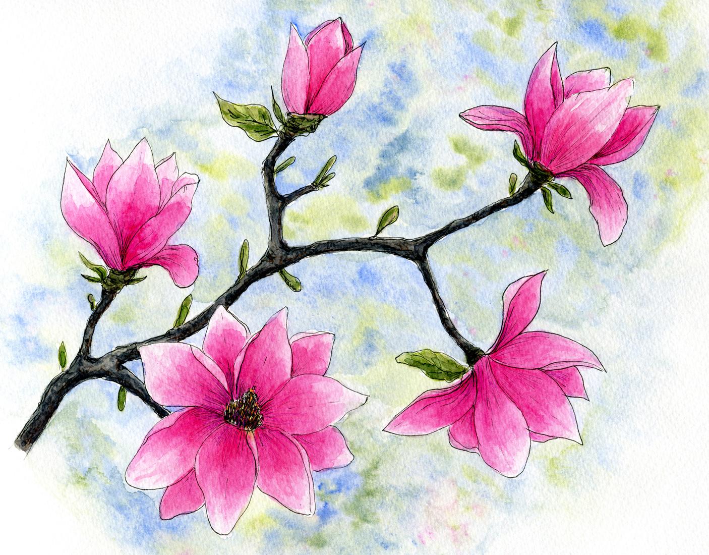 Magnolia - image 1 - student project