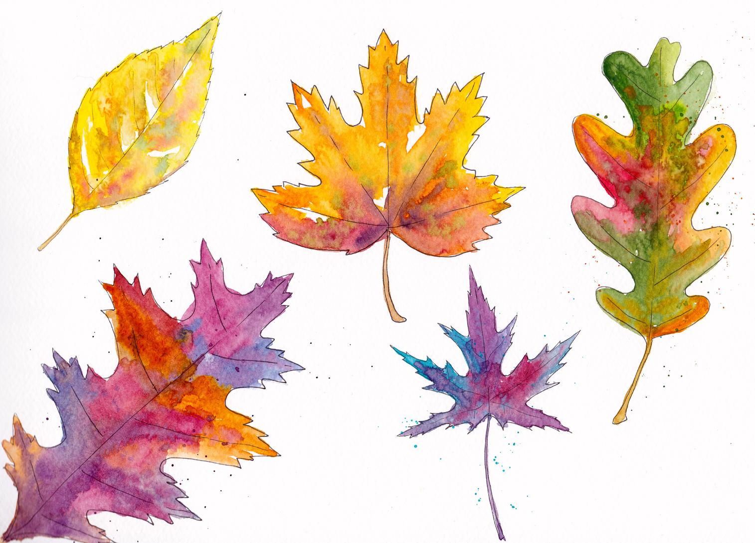 Ink and watercolor leaves - image 2 - student project