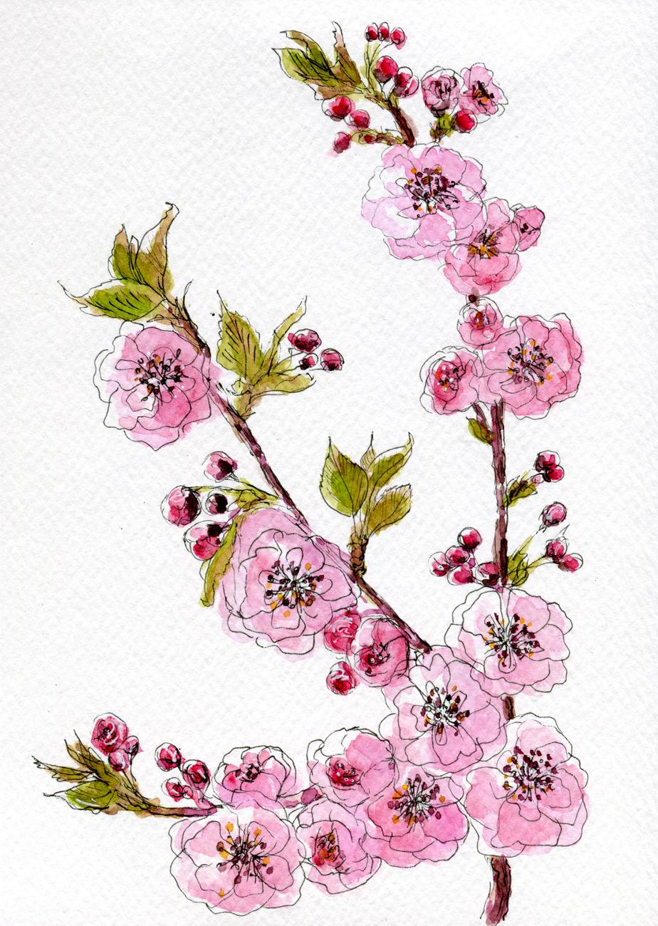 Spring flowers - image 3 - student project