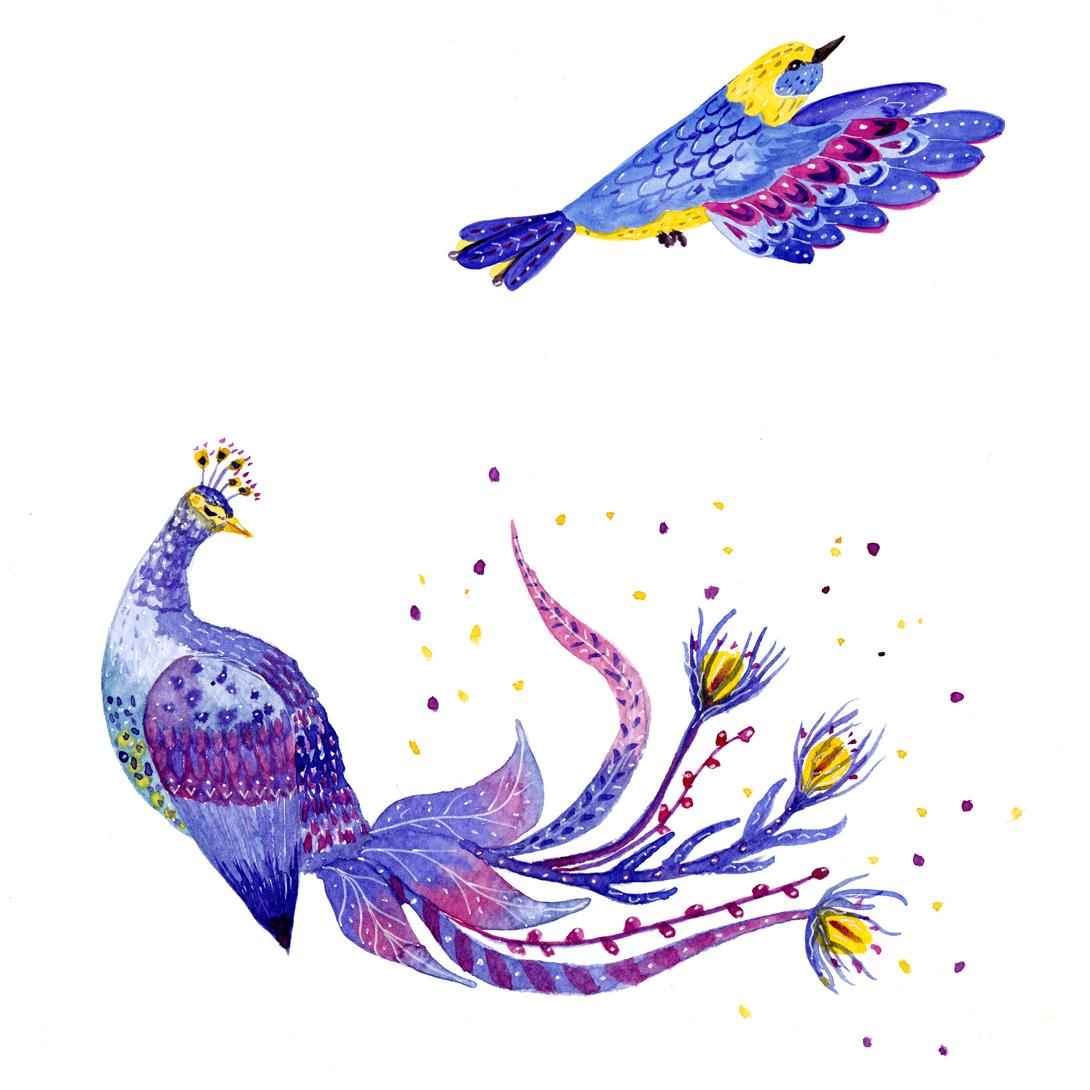 Colourful birds - image 3 - student project