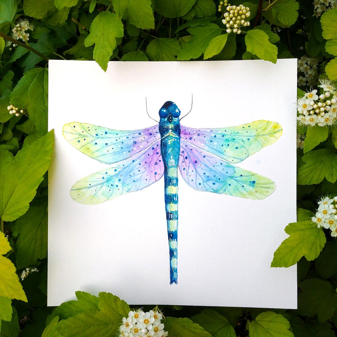 Magical dragonflies - image 2 - student project