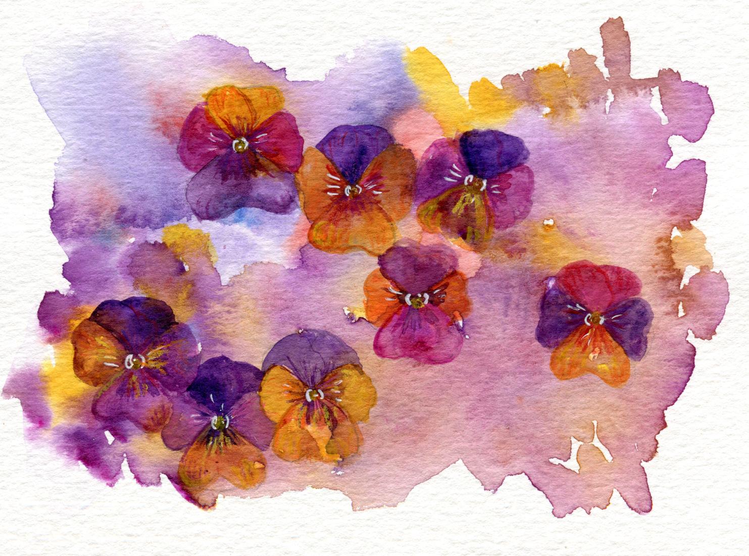 Colourful flowers - image 1 - student project