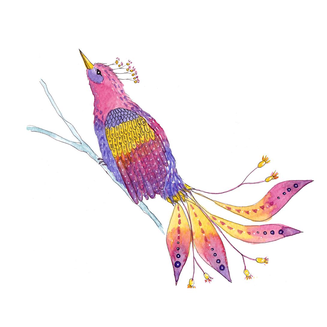 Colourful birds - image 1 - student project