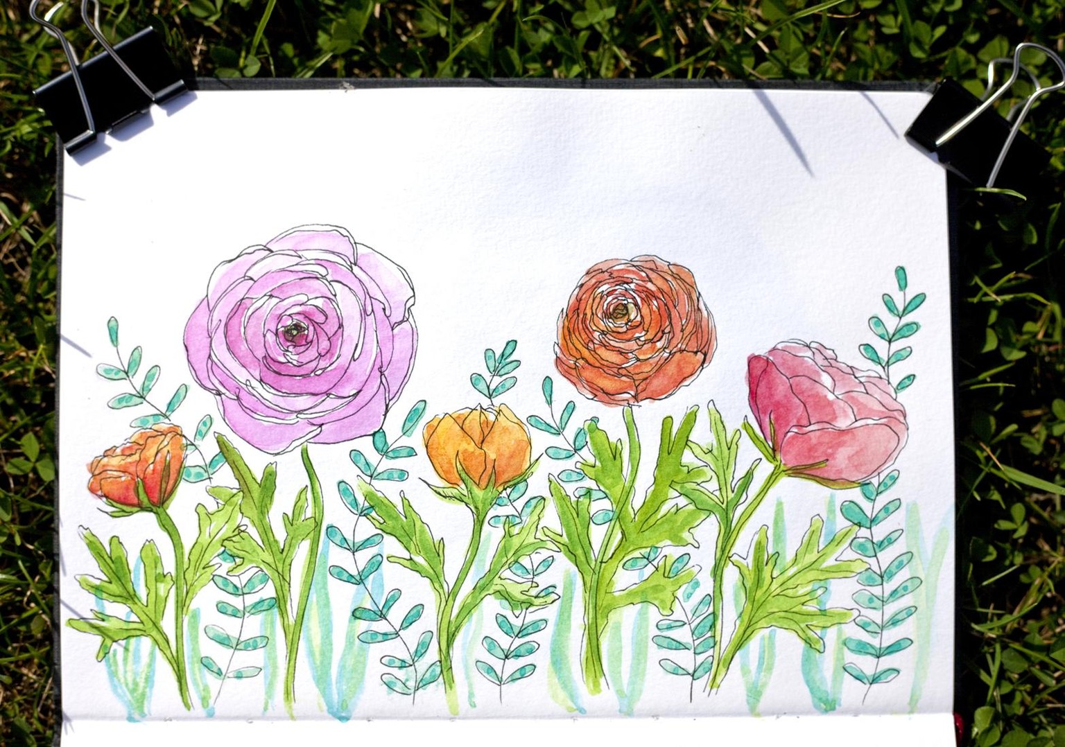 Ranunculus - image 2 - student project