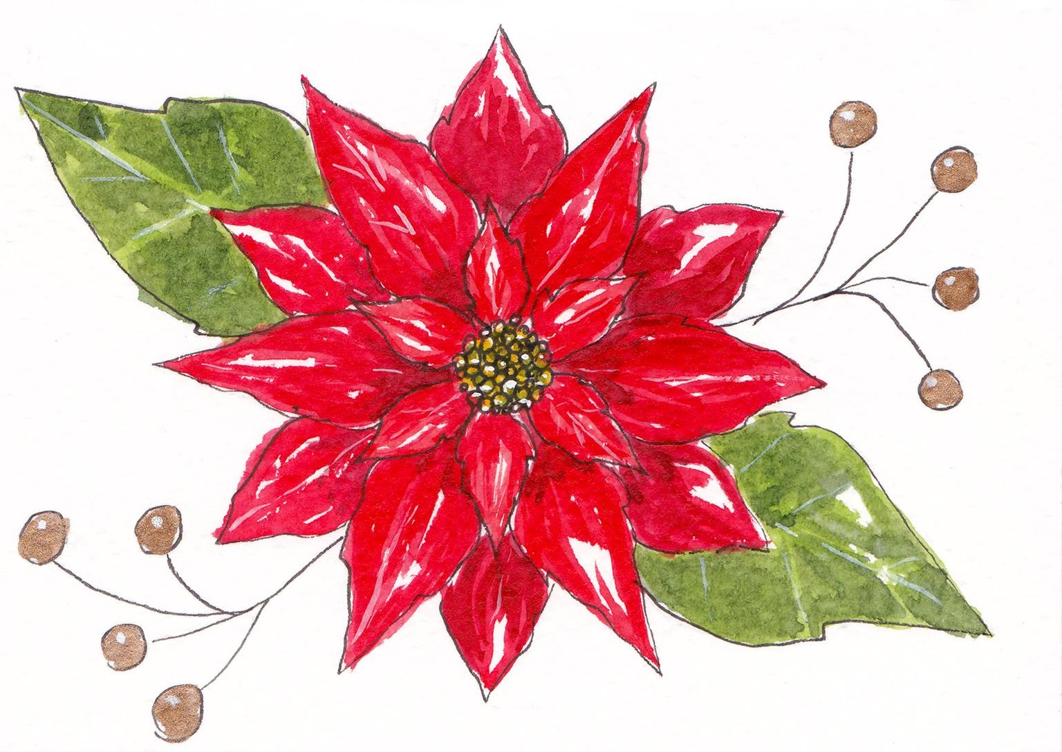 Watercolor poinsettia - image 4 - student project