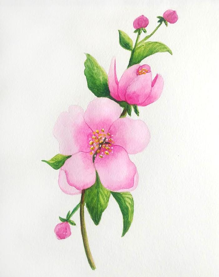 Spring flowers - image 1 - student project