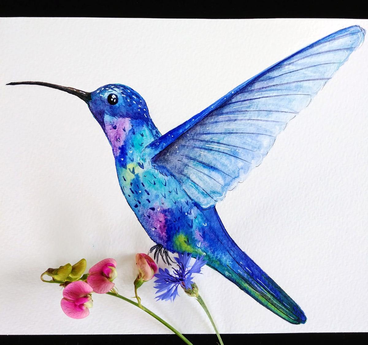 Hummingbirds - image 1 - student project