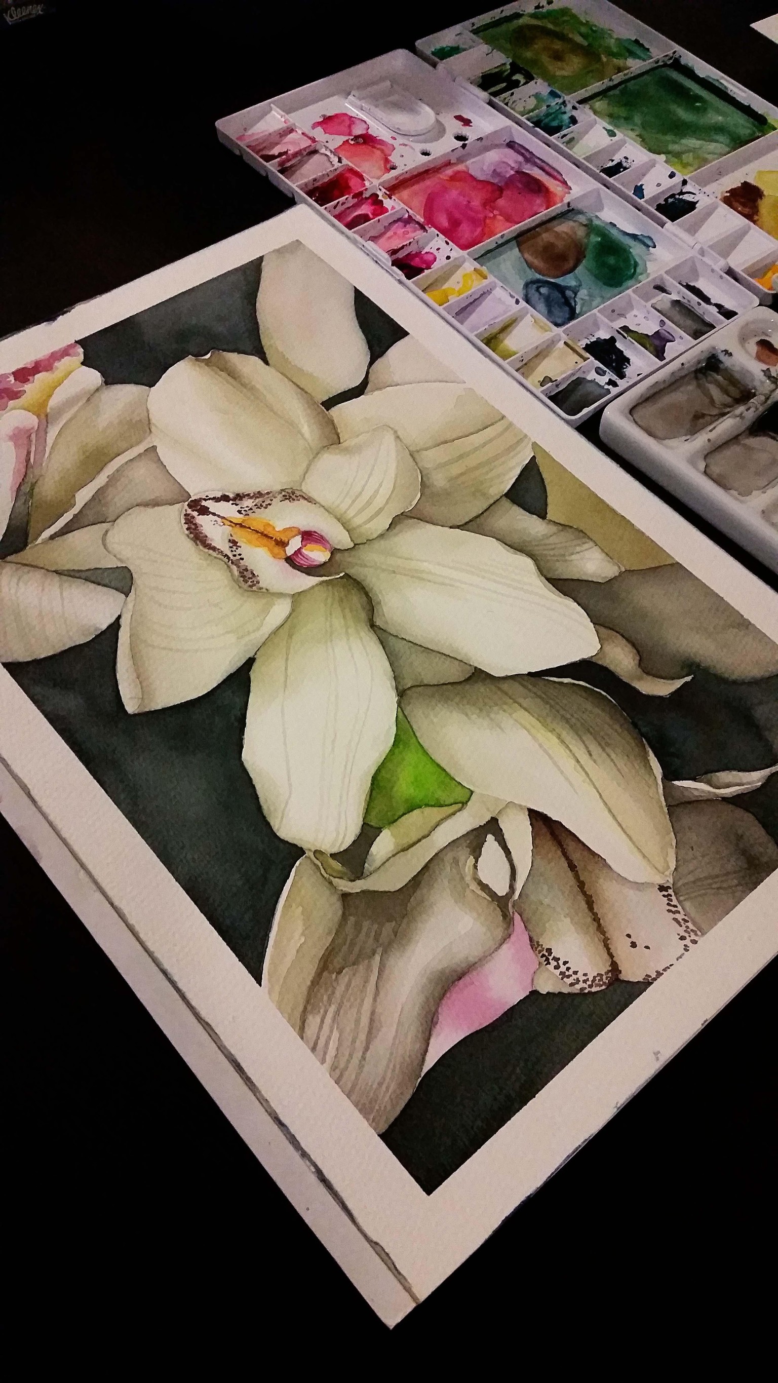 Class Project - Orchids - image 2 - student project