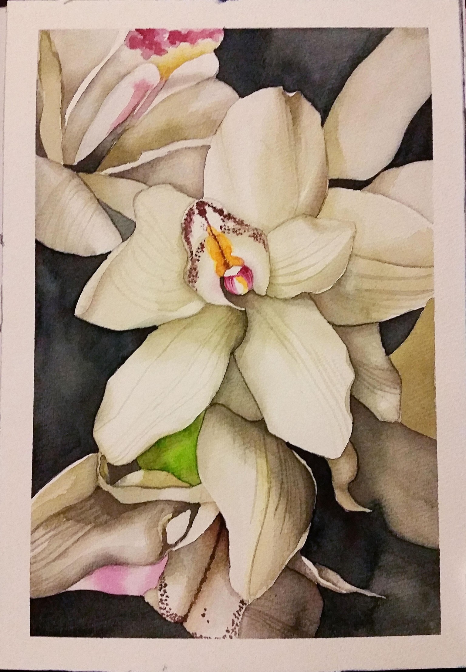 Class Project - Orchids - image 3 - student project
