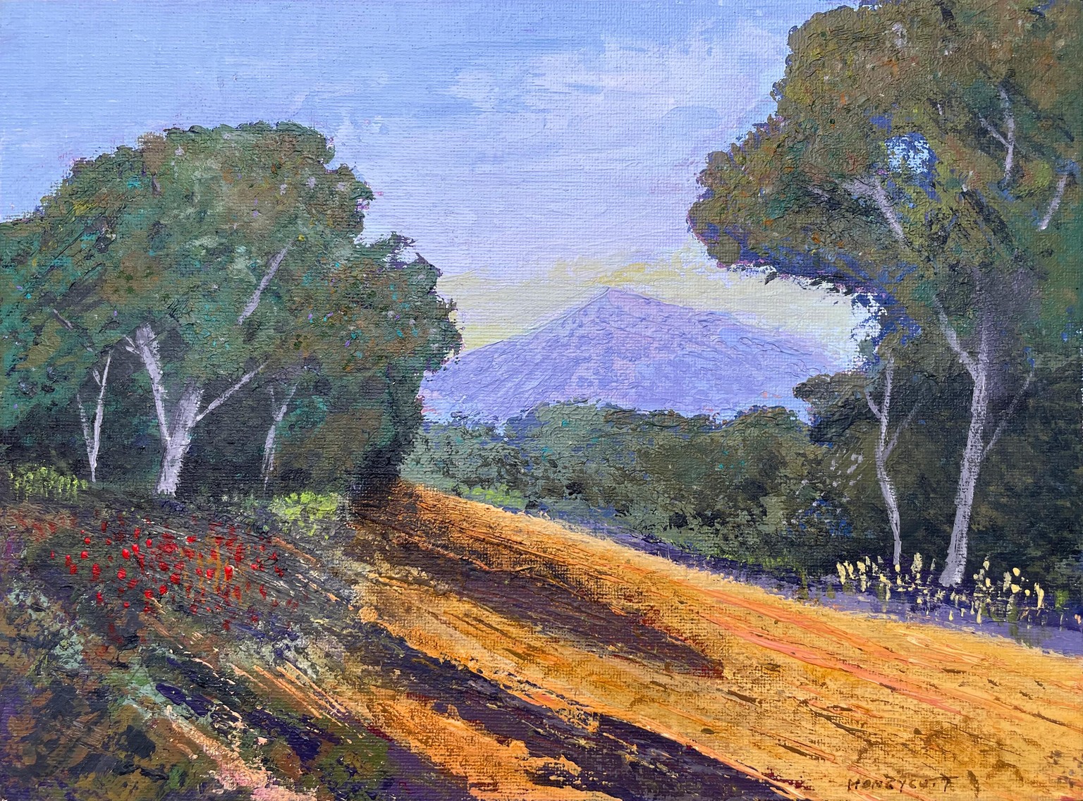 Backcountry Trail - image 1 - student project