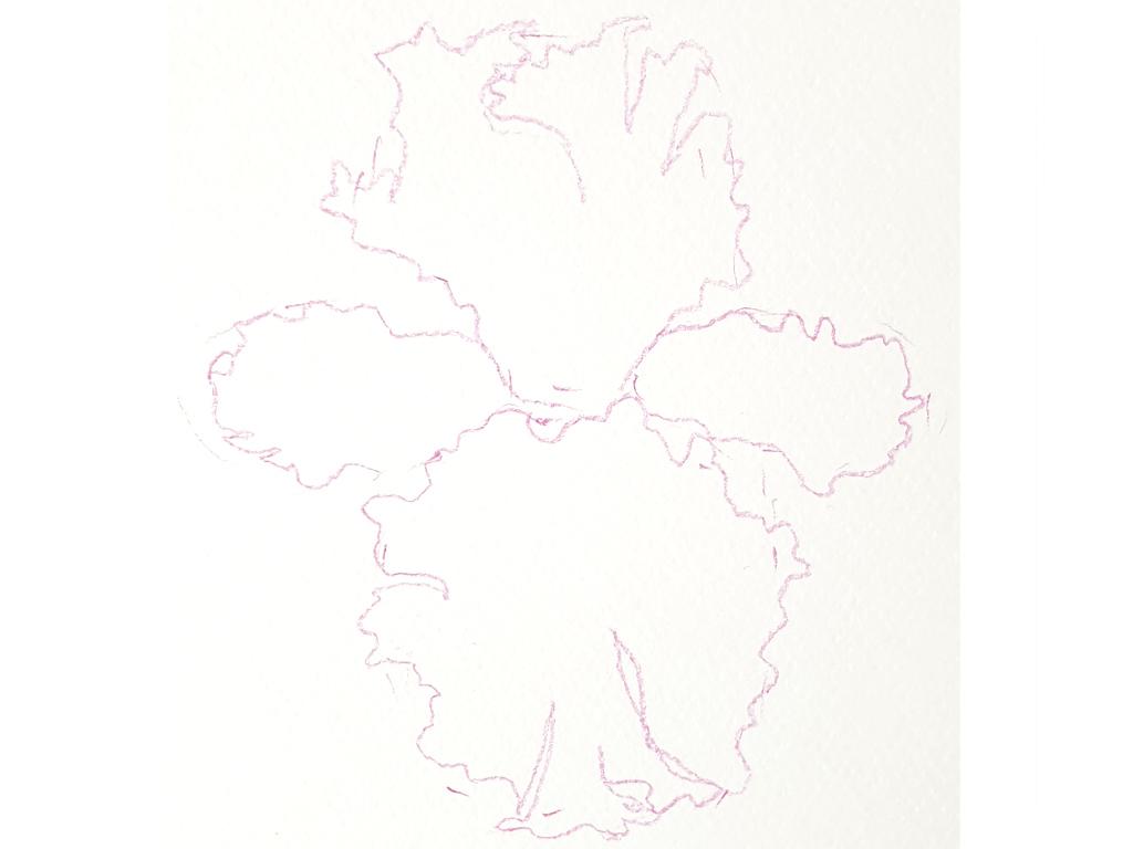 Easy & loose watercolor iris - image 3 - student project