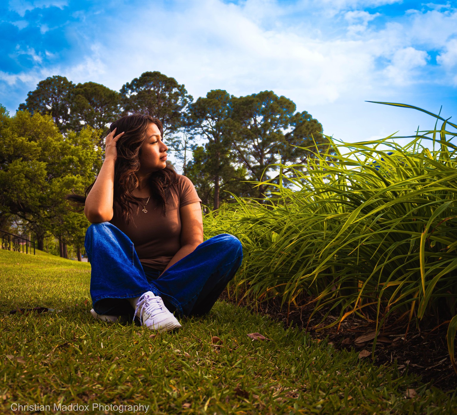 Natural Light - image 1 - student project