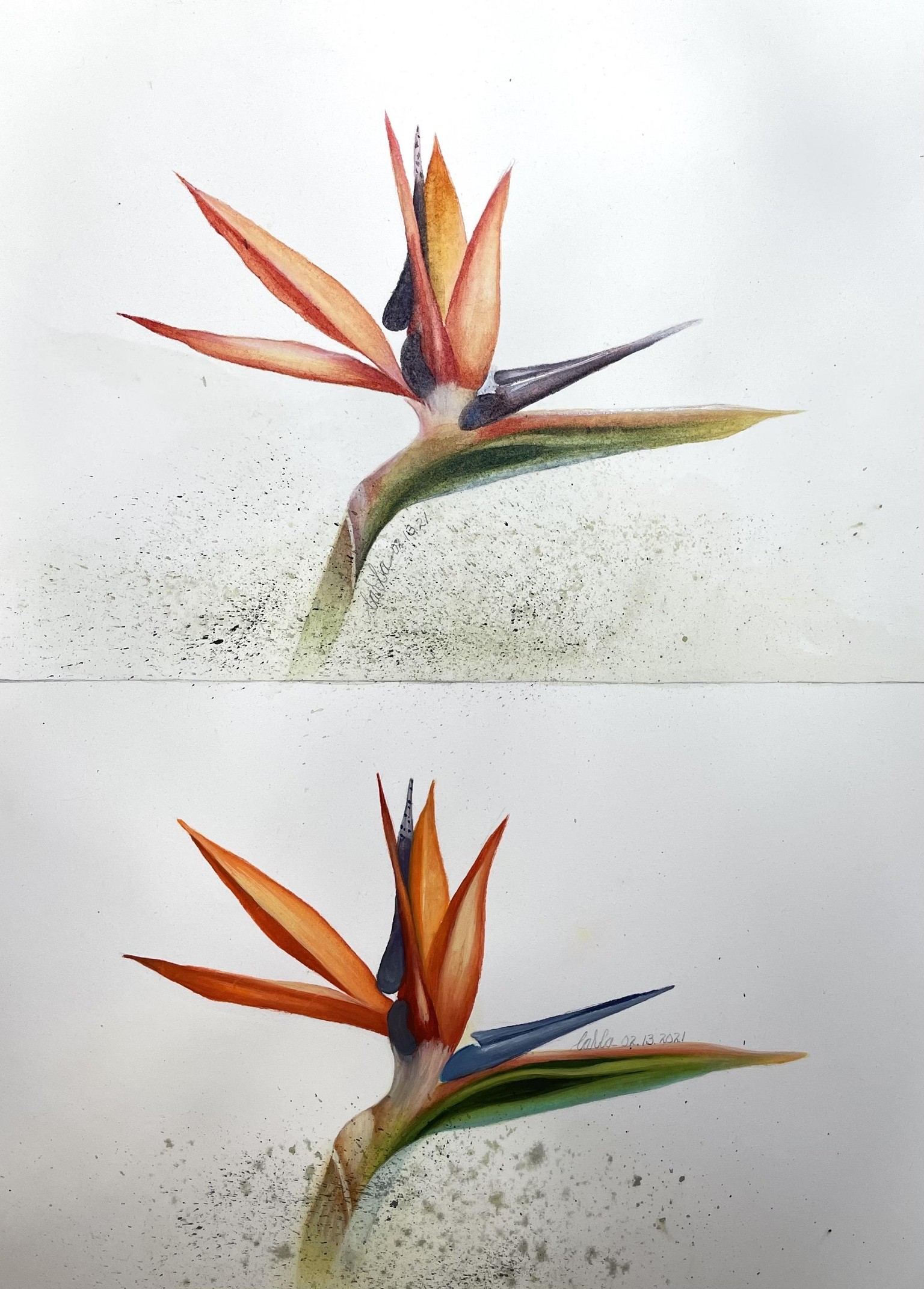 Watercolor or acrylic OMGoodness - image 1 - student project