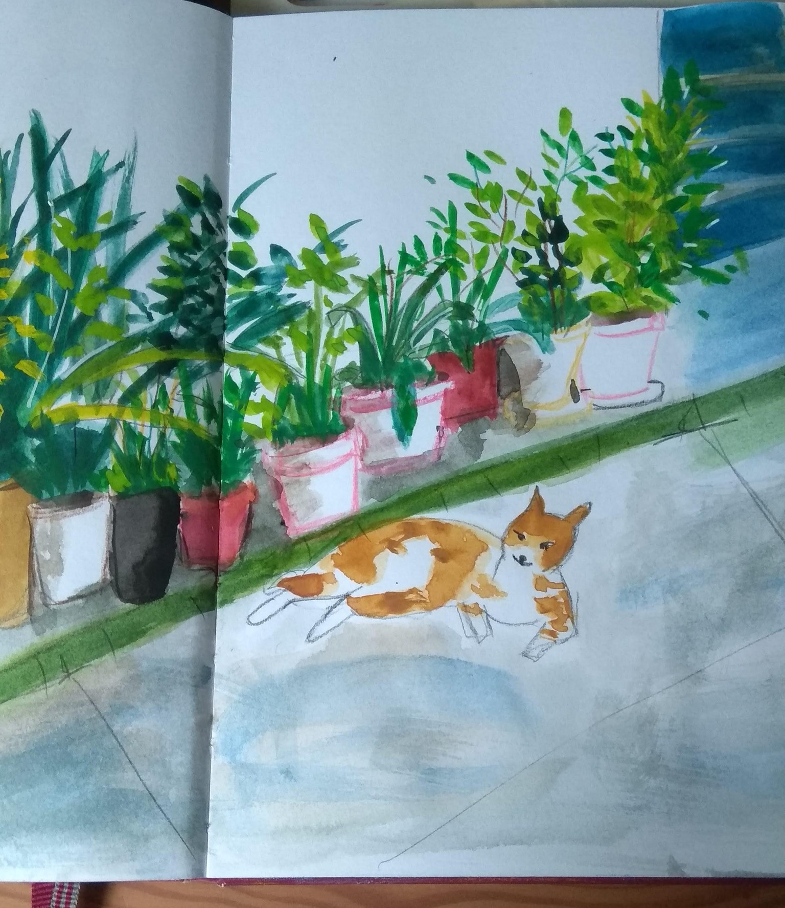 Sketching Plants with Mixed Media Art Supplies - image 5 - student project