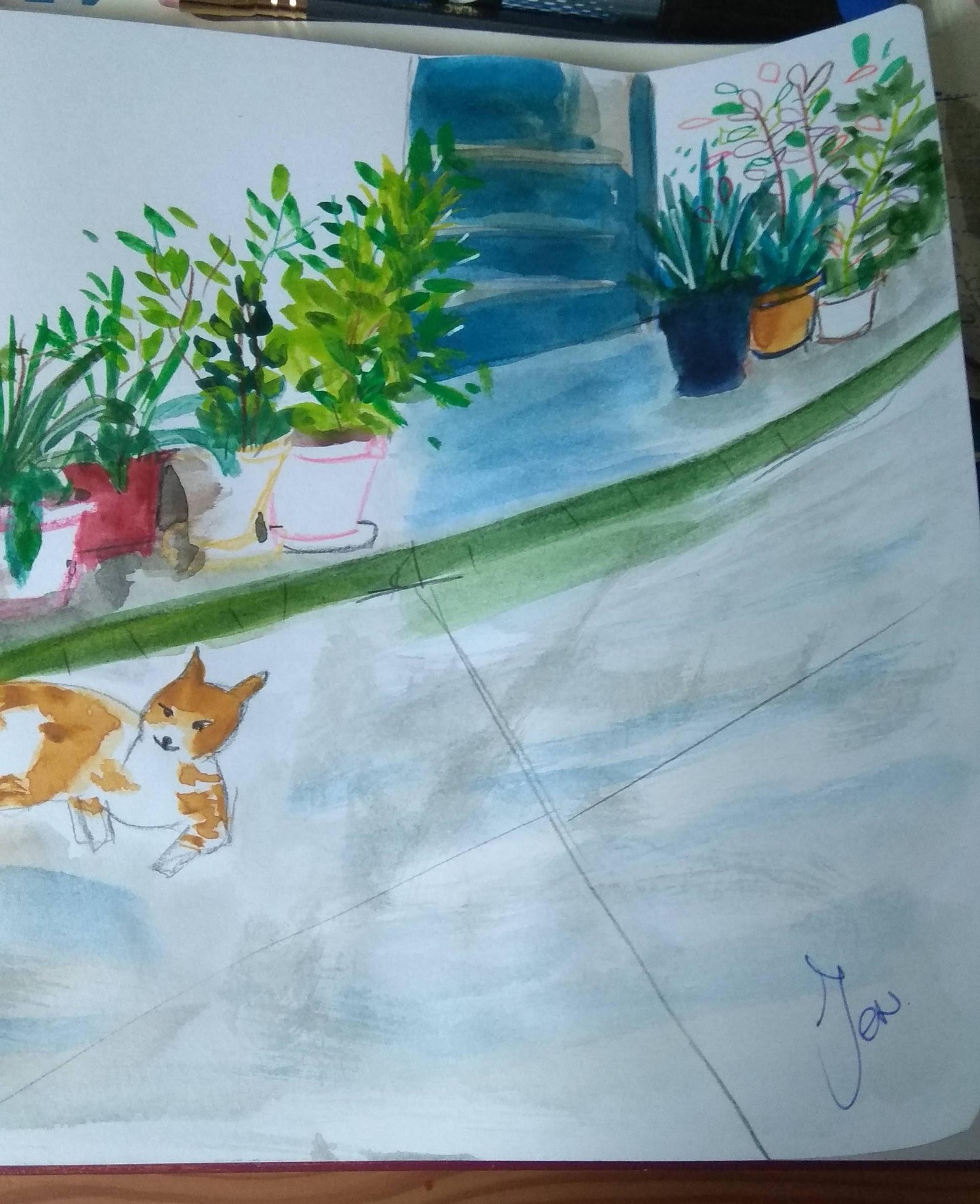 Sketching Plants with Mixed Media Art Supplies - image 6 - student project