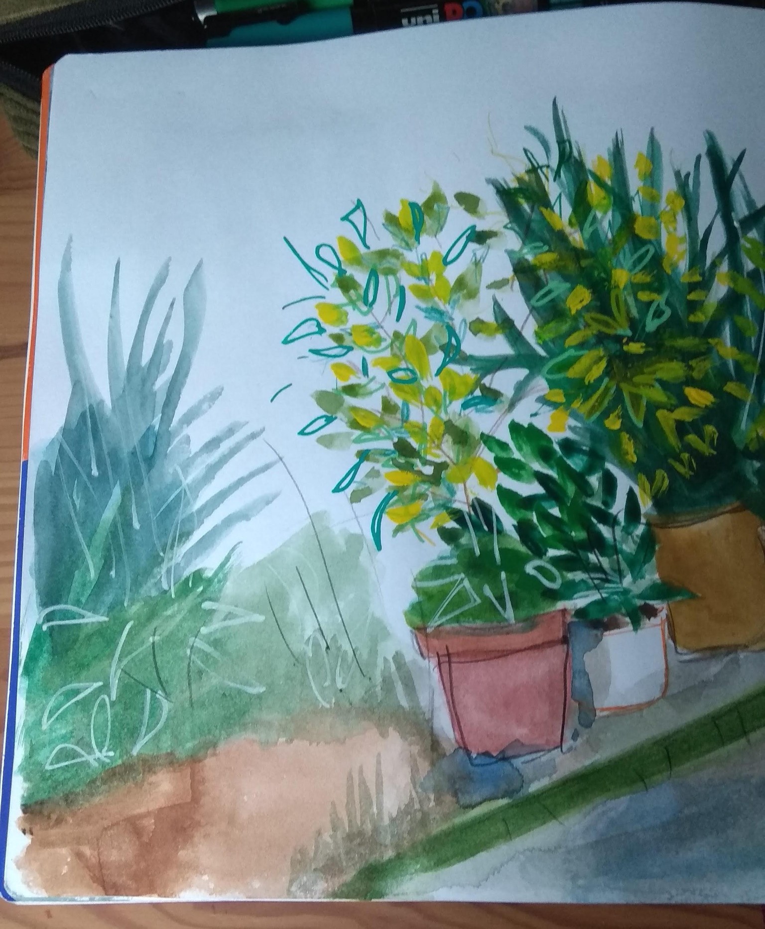 Sketching Plants with Mixed Media Art Supplies - image 3 - student project