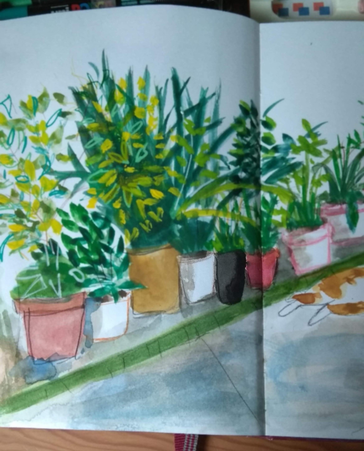 Sketching Plants with Mixed Media Art Supplies - image 4 - student project