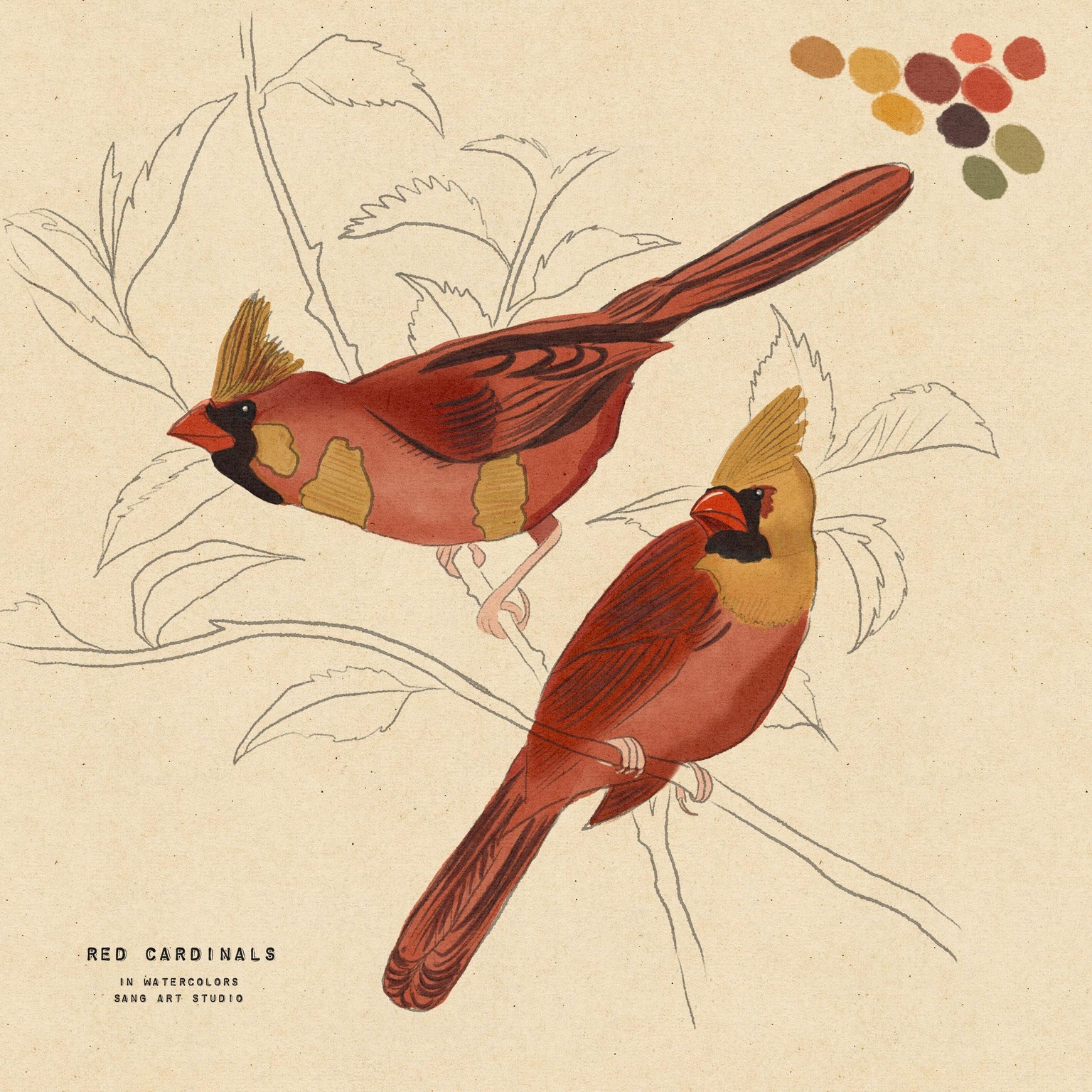 Red Cardinals in Watercolor - image 1 - student project