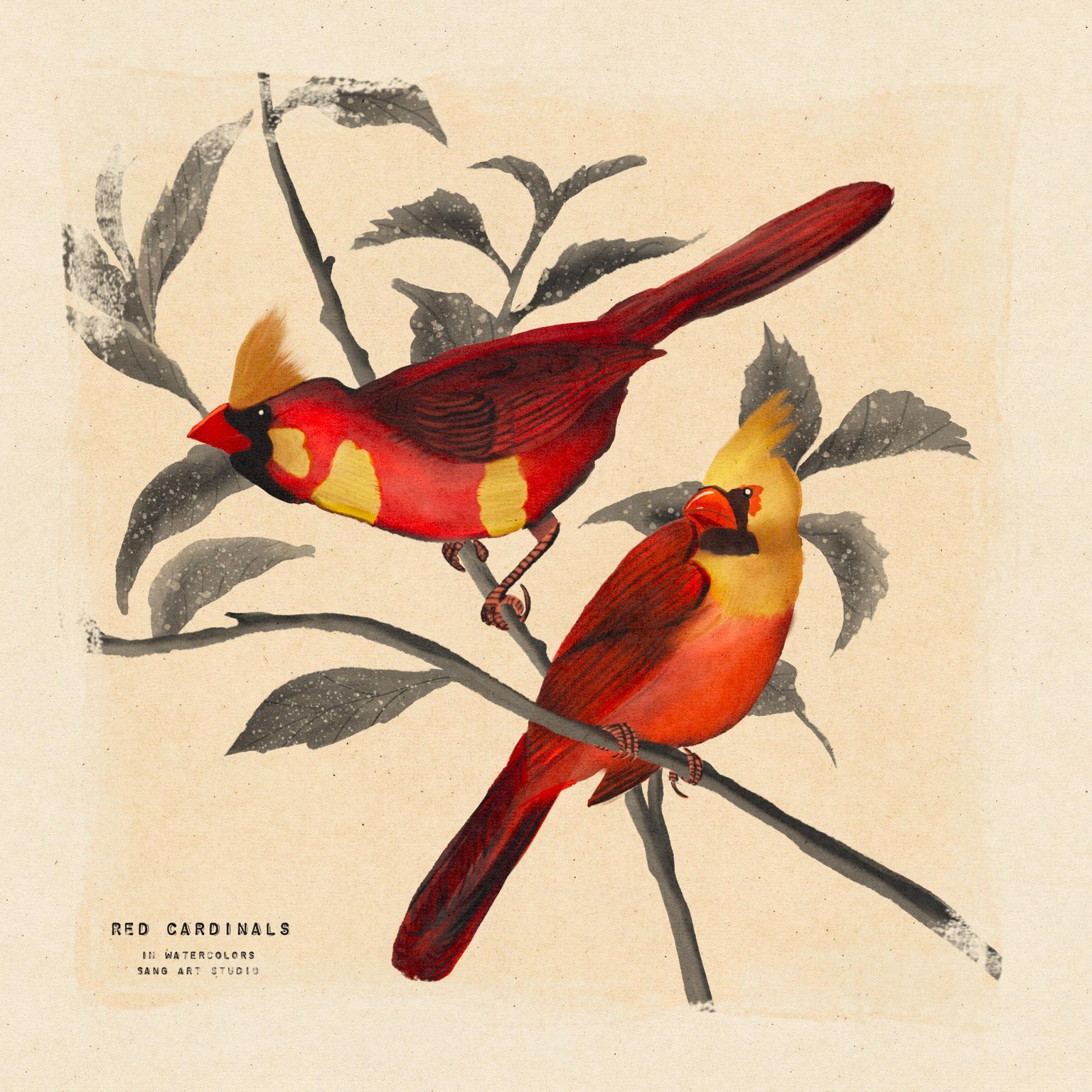 Red Cardinals in Watercolor - image 2 - student project