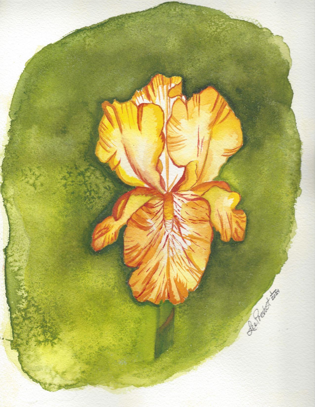 Yellow Iris and Blue Iris that I created :) - image 2 - student project