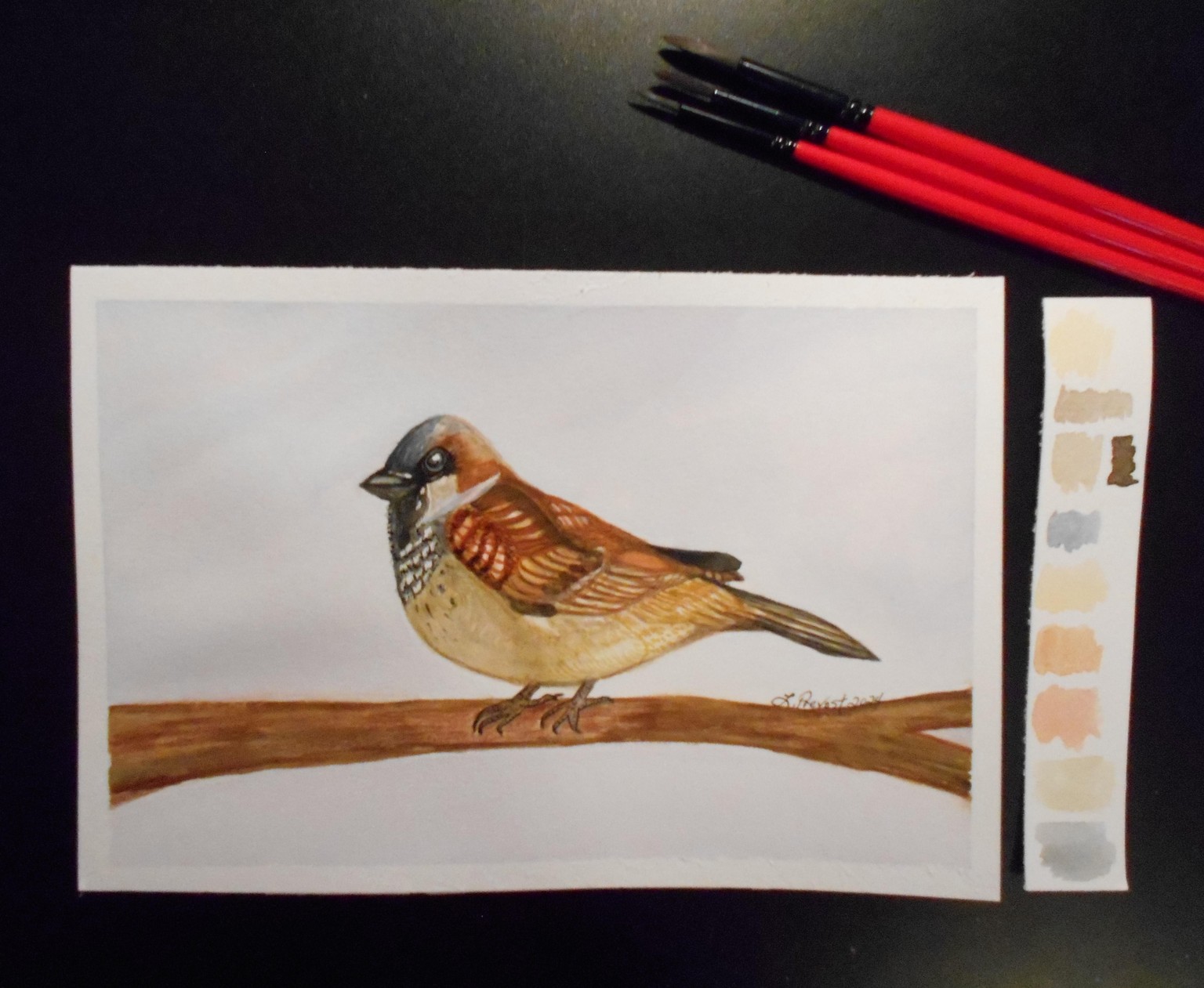 Sparrow - image 1 - student project