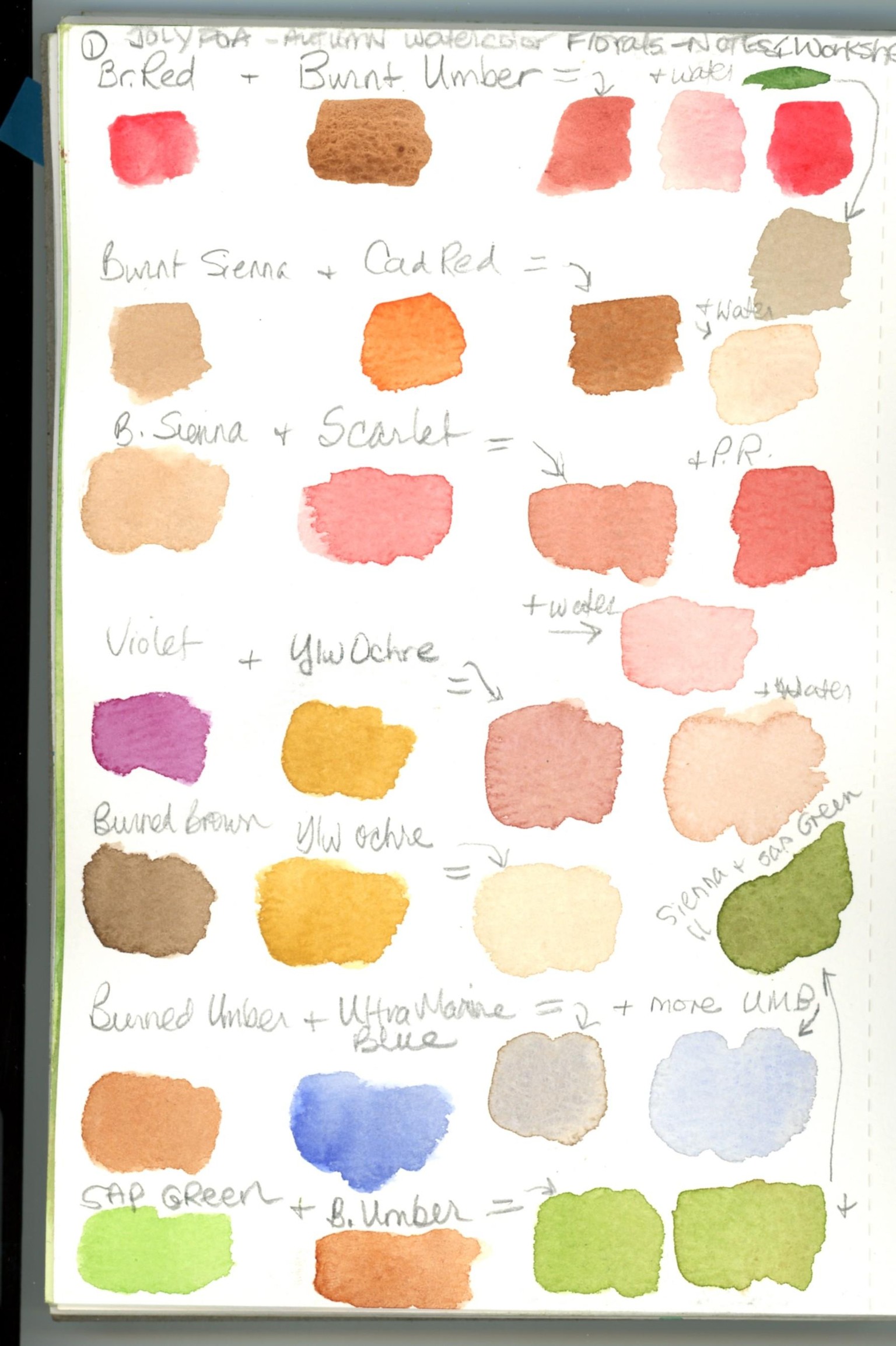 Fall Florals - Joly Poa - image 1 - student project