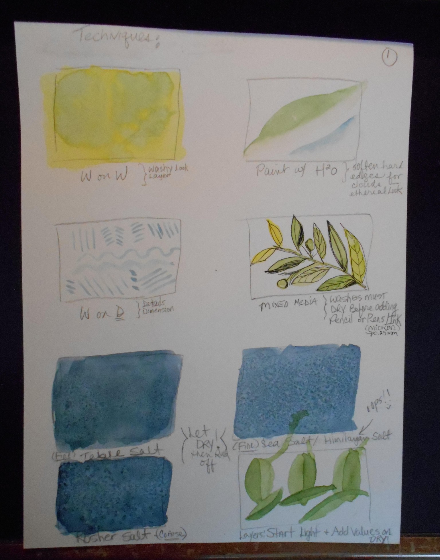 Watercolor Tools and Techniques with Melissa Hyatt - image 1 - student project