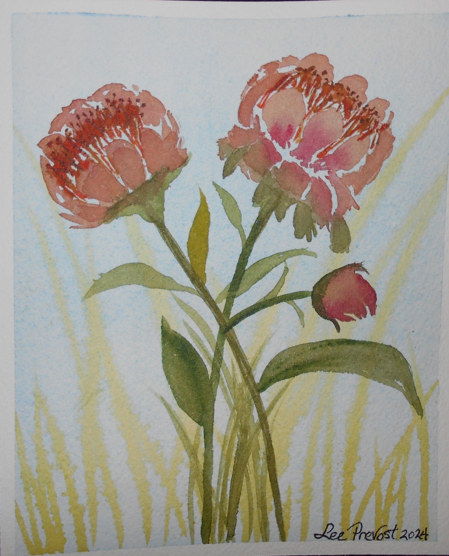 Peonies Wreath and Peonies Bunch - image 3 - student project